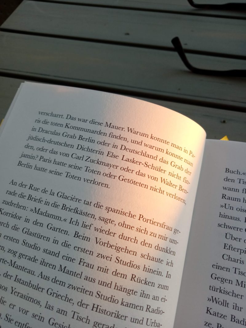 Emine Sevgi Özdamar - Ein von Schatten begrenzter Raum II