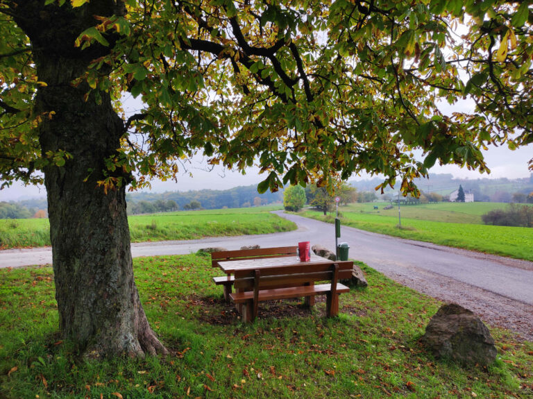 Lieblingsplatz. Bei Johannisberg